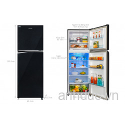 Tủ Lạnh Panasonic Inverter 268 Lít NR-TV301BPKV