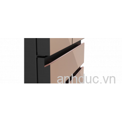 Tủ lạnh Cao cấp 4 cánh NR-YW590YX4V