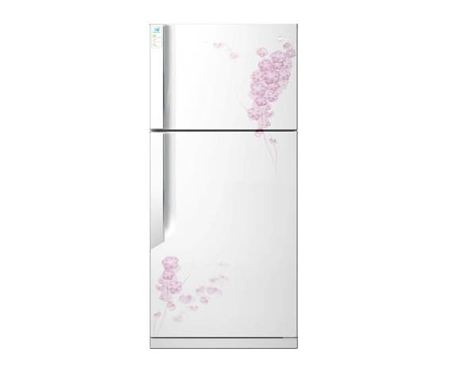 Tủ lạnh LG S402PG